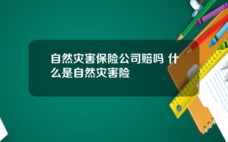 自然灾害保险公司赔吗 什么是自然灾害险